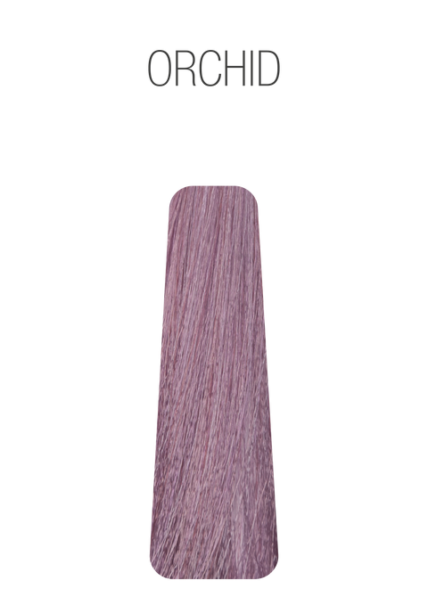 Milk Shake Smoothies