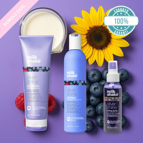 Silver Shine Bundle