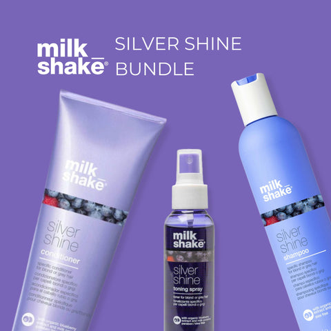 Silver Shine Bundle