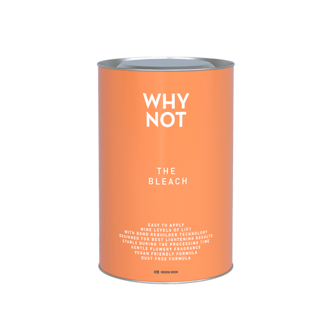 Why Not - The Bleach
