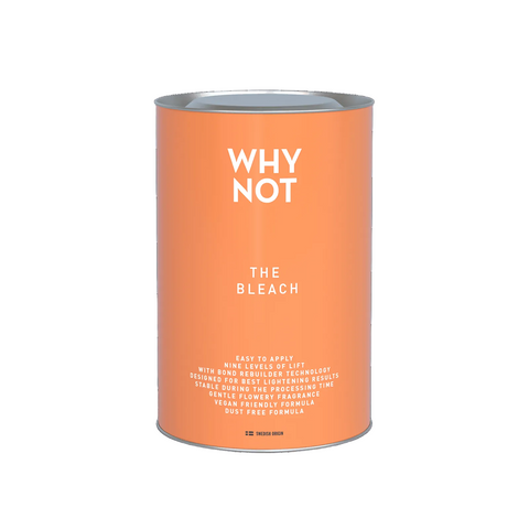 Why Not - The Bleach