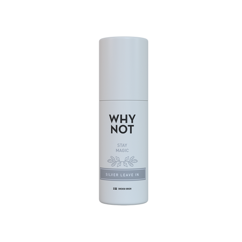 WHY NOT stay Magic Silver 150ml