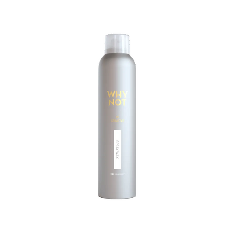 WHY NOT be Creative - Spray Wax