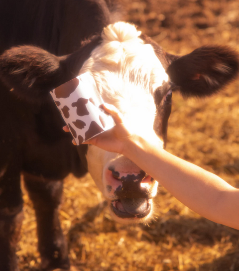 Framar - Embossed Roll Medium Yeehaw Folie (320ft)