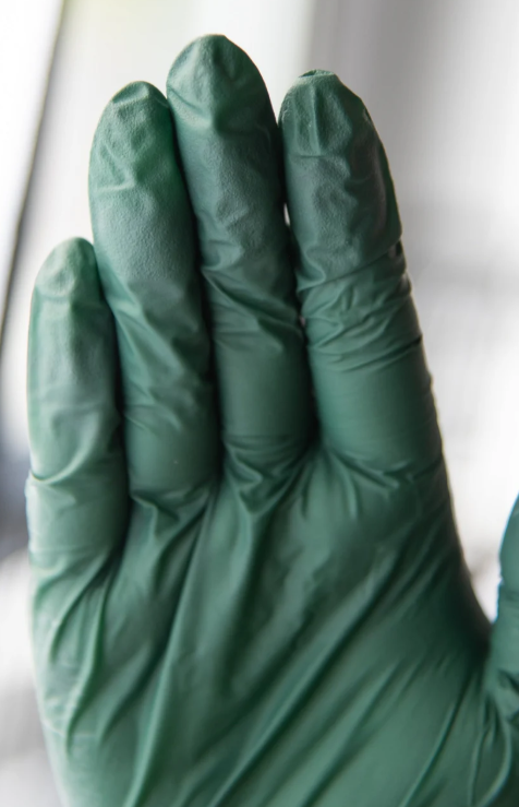 Framar - Pine Palms Nitrile Gloves (Large)
