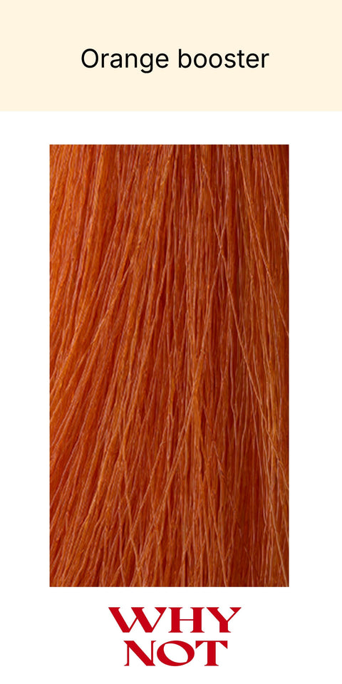 WHY NOT The Color 100ml