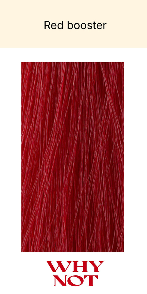 WHY NOT The Color 100ml
