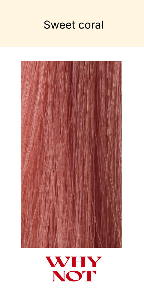 WHY NOT The Color 100ml