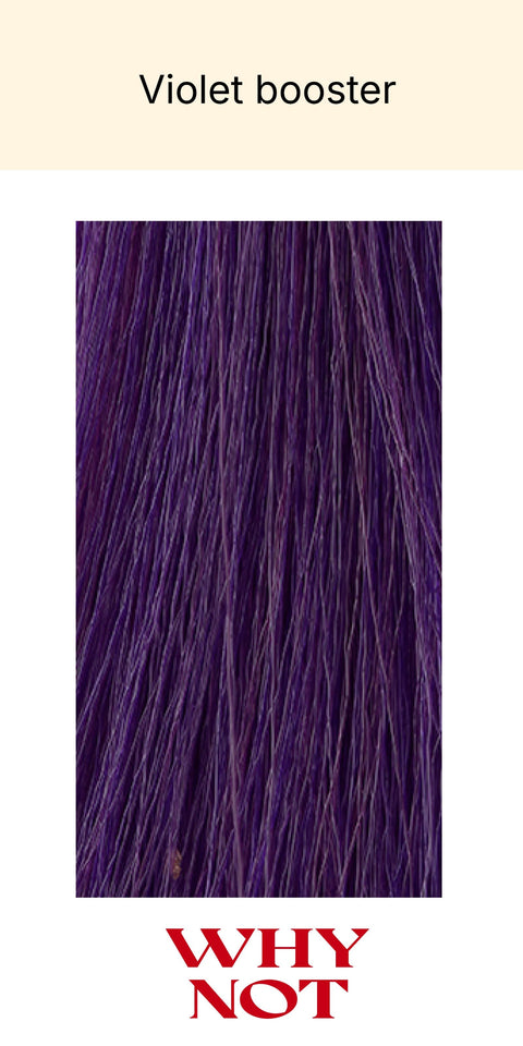 WHY NOT The Color 100ml